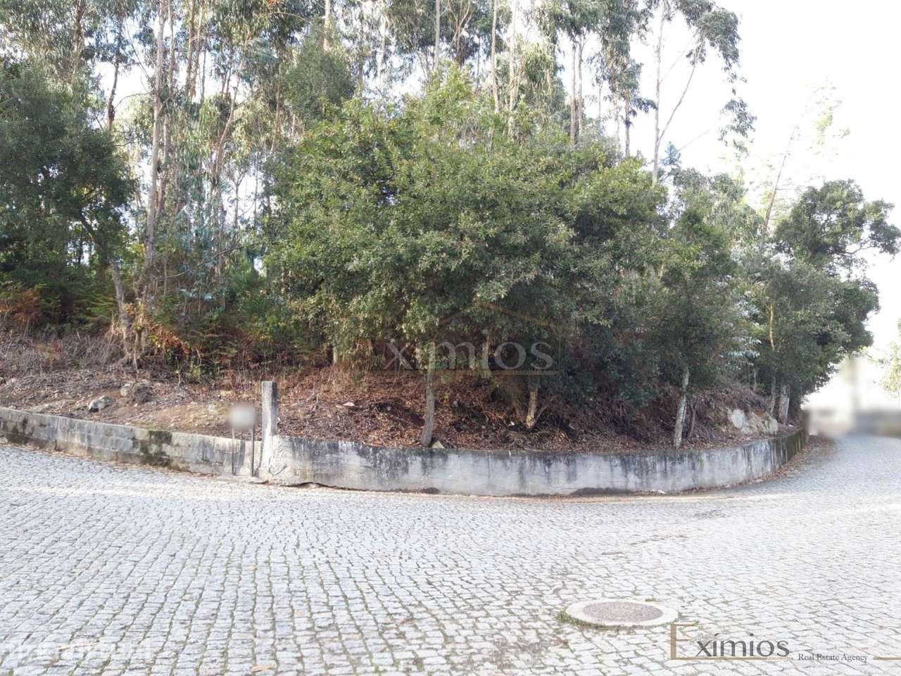 Terreno em Touguinha - Grande imagem: 2/4