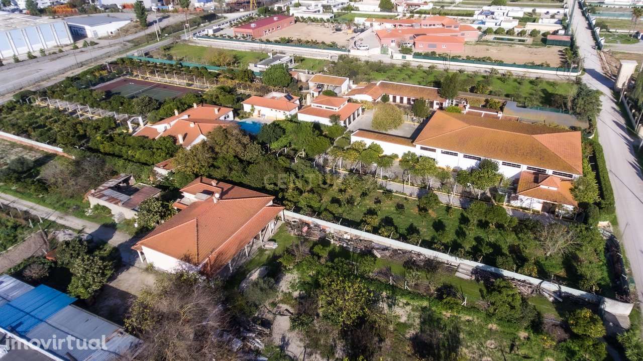 Quinta com um hectare de terreno e Picadeiro coberto em Azeitão - Grande imagem: 2/58