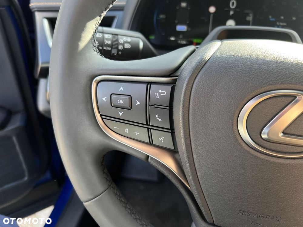 Lexus UX 300h F Sport Design - 13