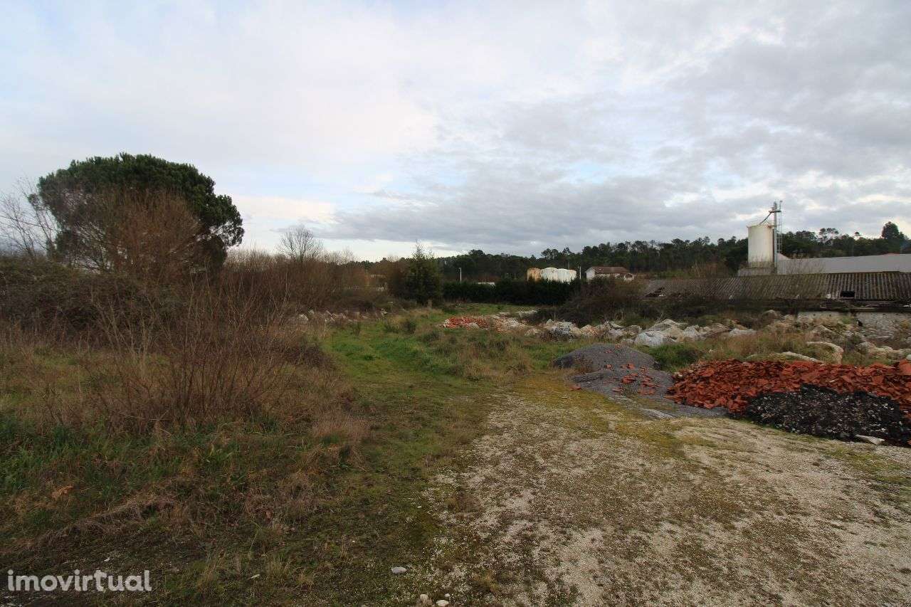 Terreno com 1 Hectare e Armazém - Grande imagem: 2/7