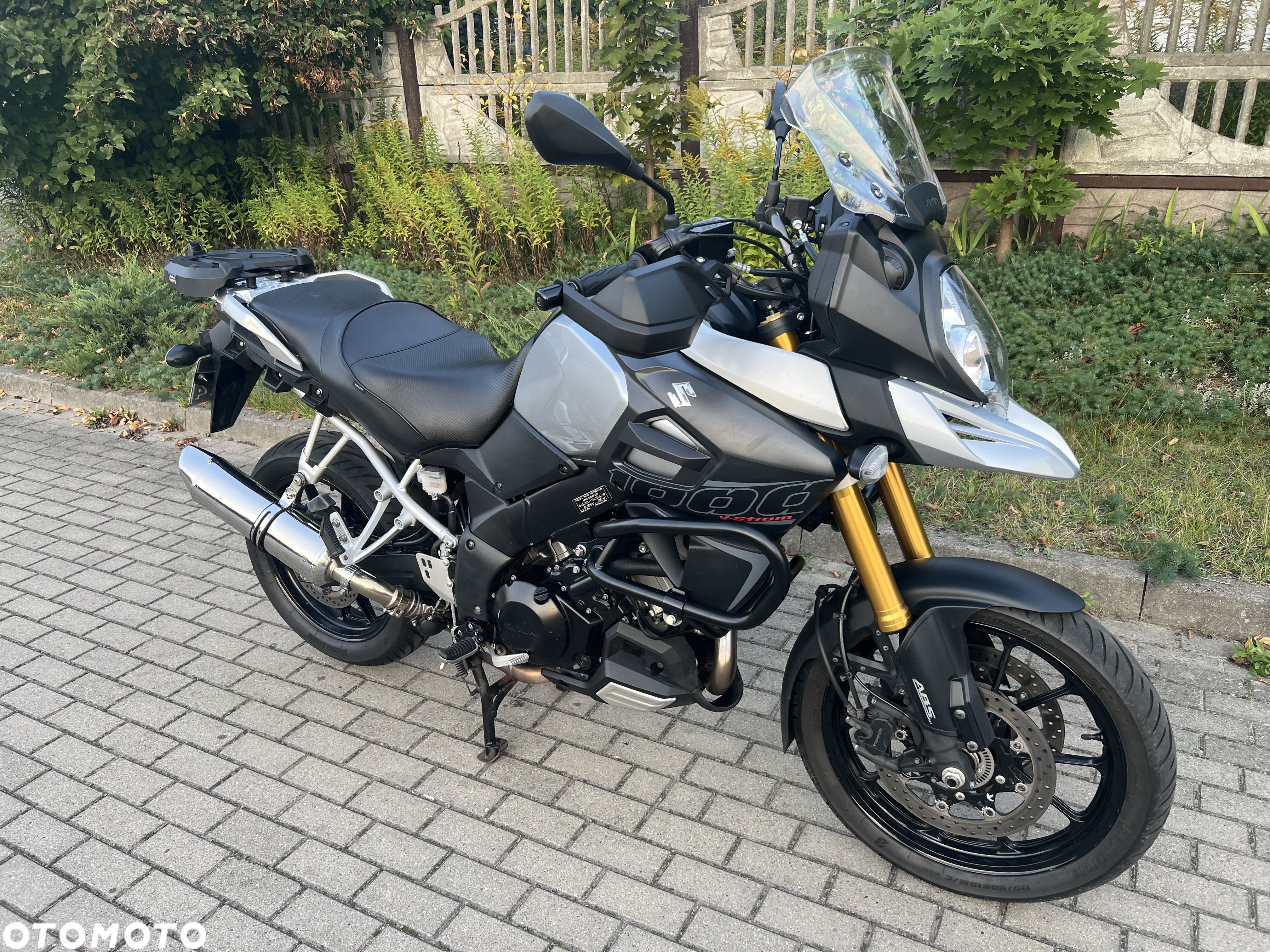 Suzuki DL
