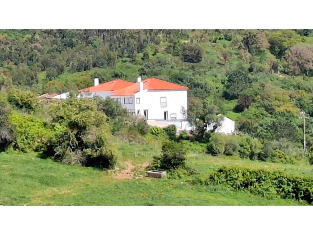 Arrenda Moradia T2 - Ericeira 10 km, A Casa das Casas - Grande imagem: 2/27