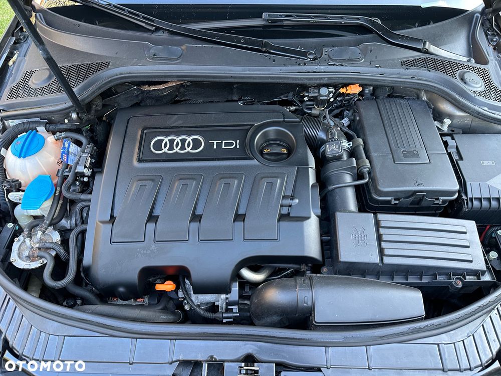 Audi A3 Sportback 1.6 TDI DPF Attraction - 21