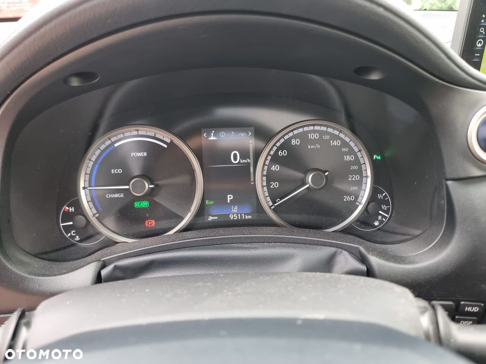 Lexus NX 300h F Sport Edition AWD - 18