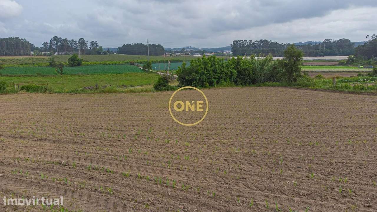 Apartamento, 800 m², Vilar e Mosteiró - Grande imagem: 3/10