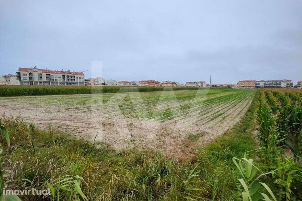 Terreno 11910 m2 localizado no centro da Praia da Vagueira, para const - Grande imagem: 5/6