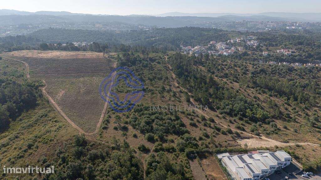 Terreno|Armazém| Grande Retalho|Logística - Grande imagem: 3/18