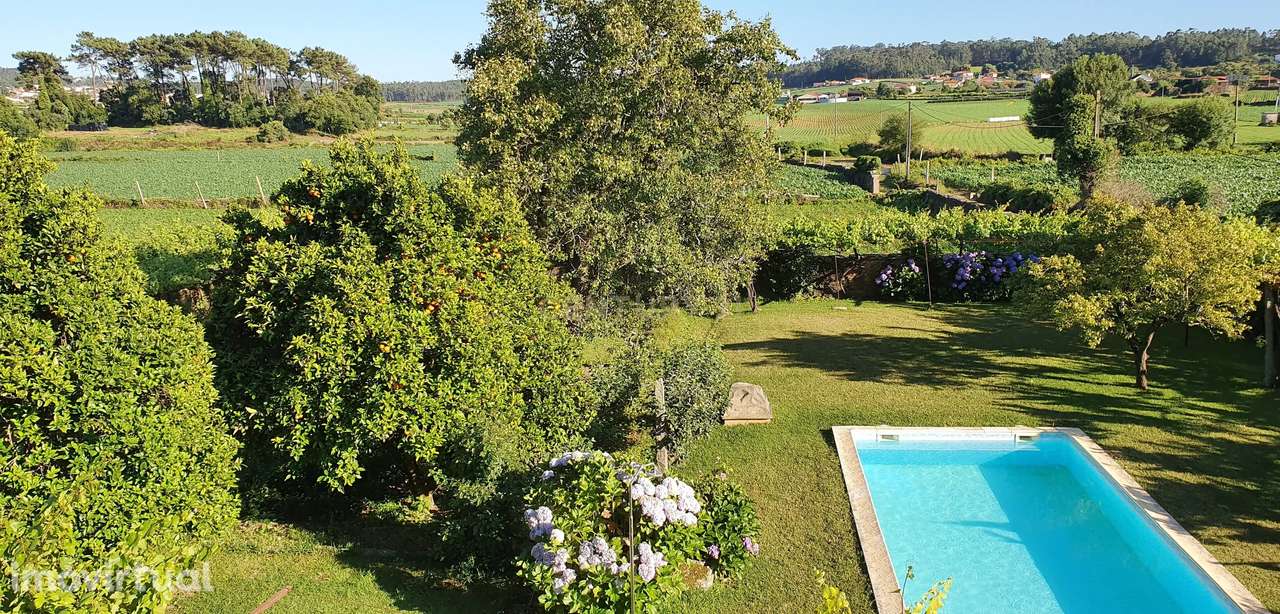 Solar em Balazar – Póvoa de Varzim - Grande imagem: 3/20