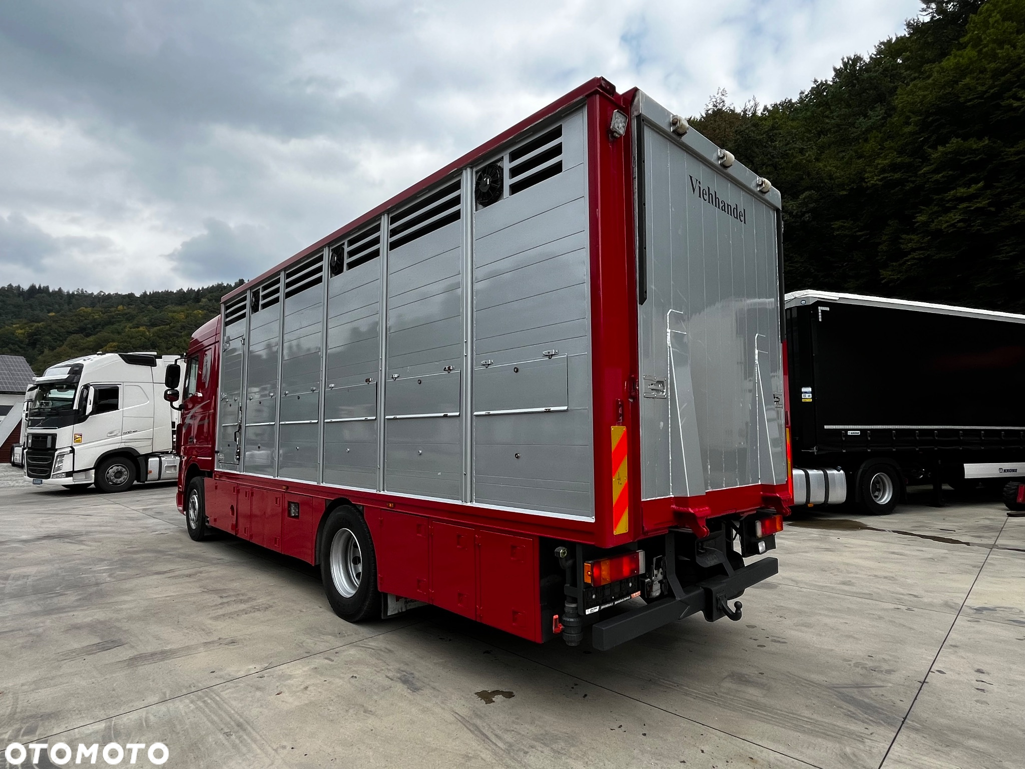 DAF XF 105.460 Euro 5 // Manual // Retarder // Do Żywca / Bydła / Zwierząt / - 7