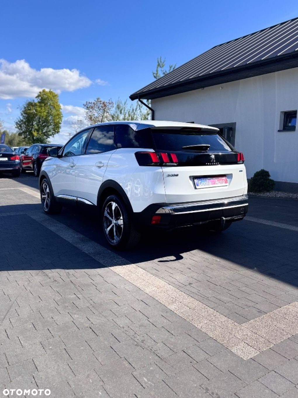 Peugeot 3008 - 4