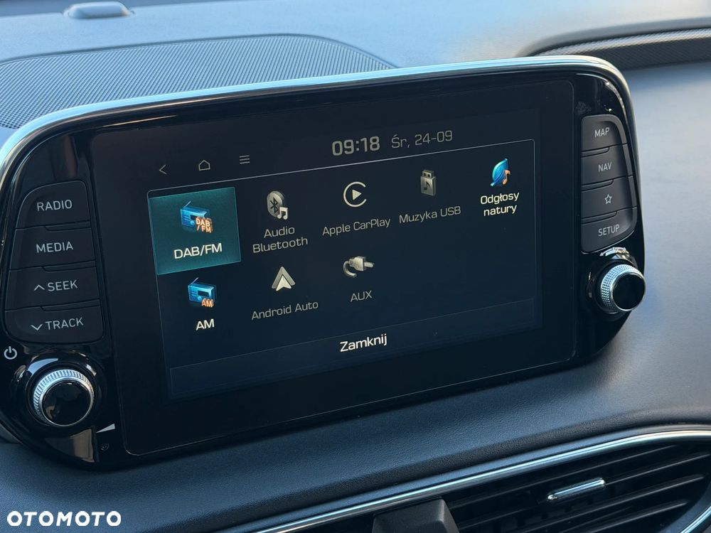 Hyundai Santa Fe 2.0 CRDi Platinum 4WD - 17