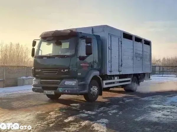 DAF LF55.250 do przewozu zwierząt - 1