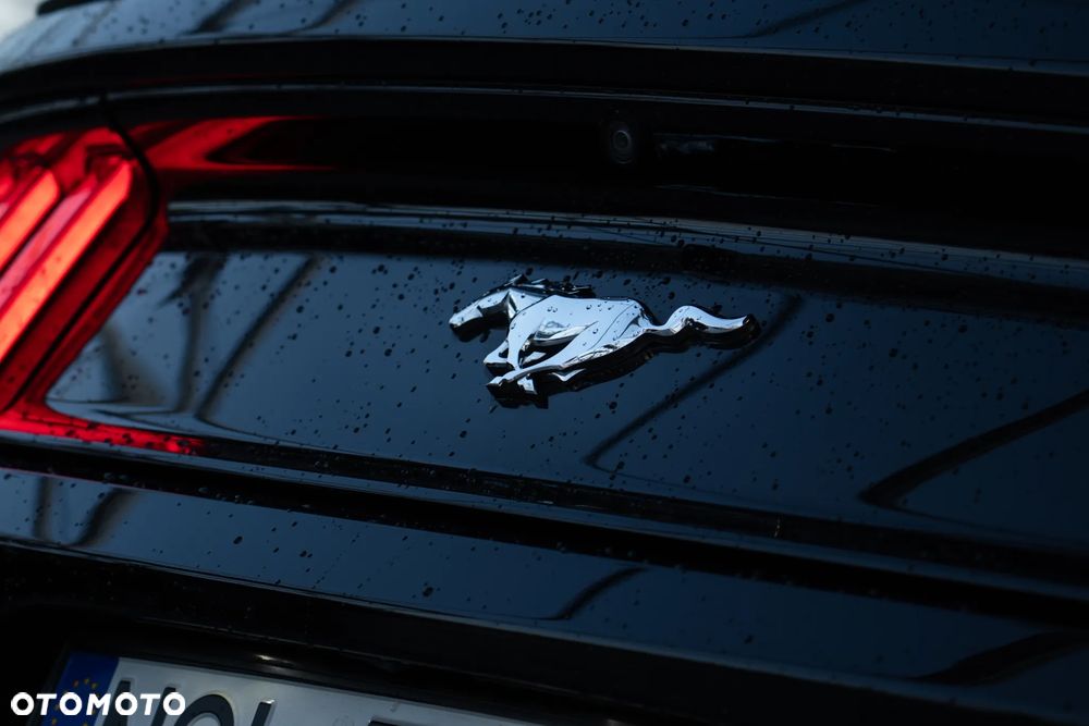 Ford Mustang 2.3 EcoBoost - 16