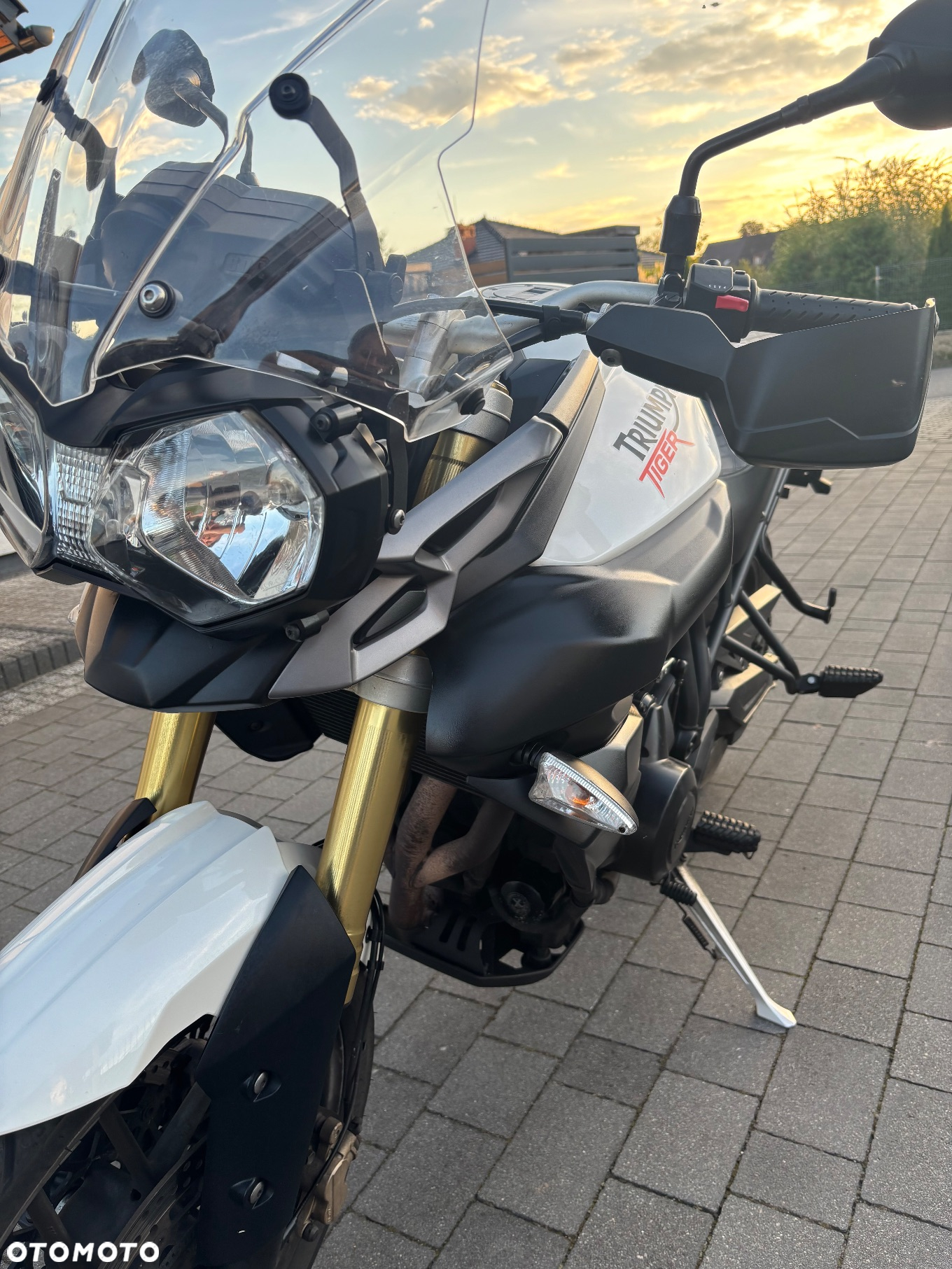 Triumph Tiger - 19