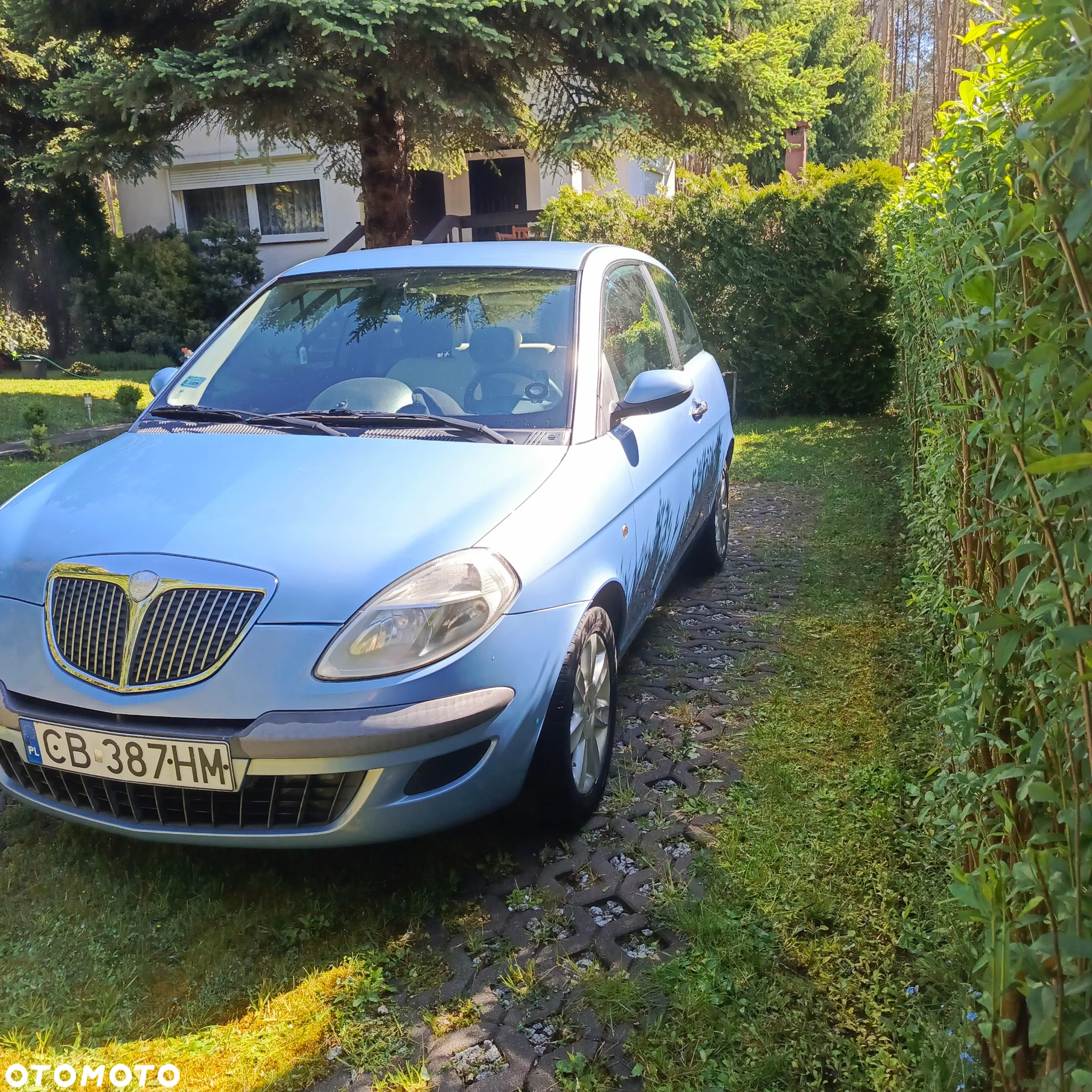Lancia Ypsilon 1.4 16v Argento - 13