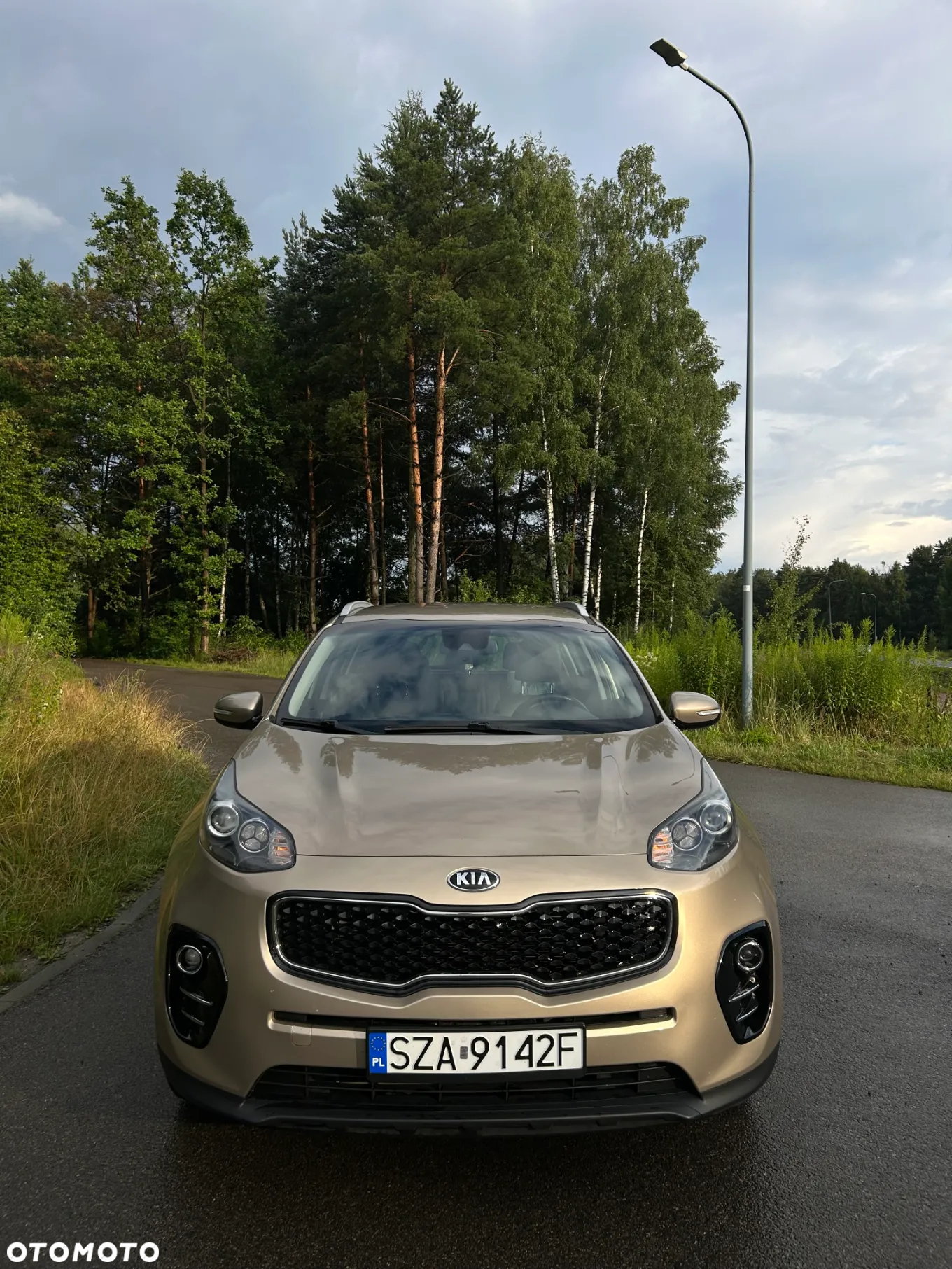 Kia Sportage 1.6 GDI M 2WD - 7
