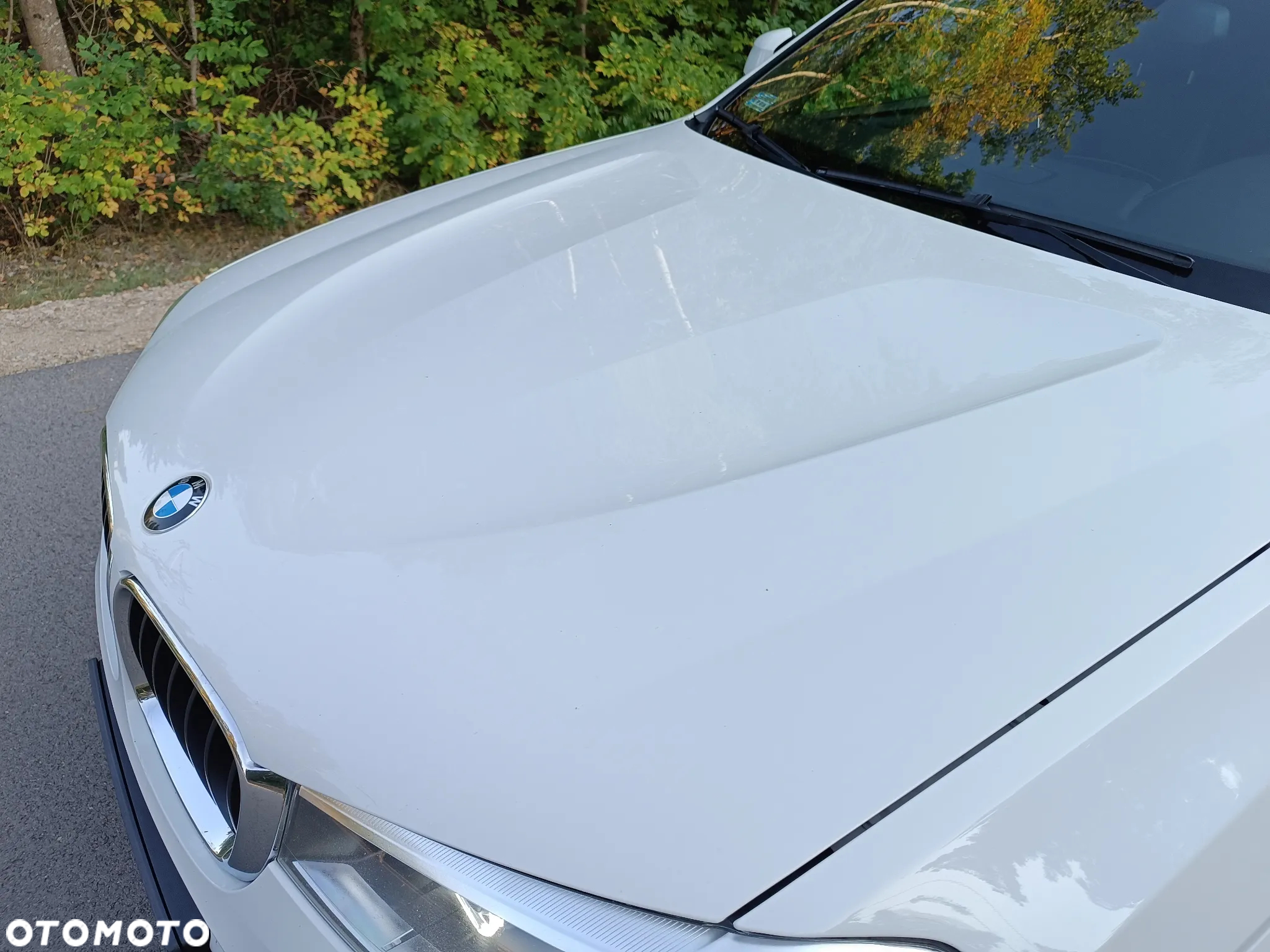 BMW X4 xDrive20d Edycja M Sport - 30