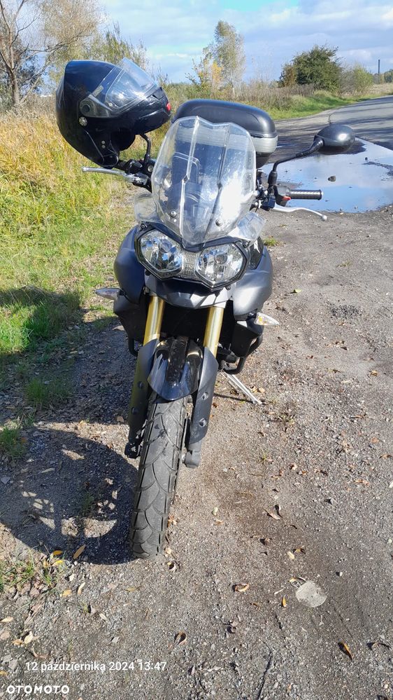 Triumph Tiger - 6
