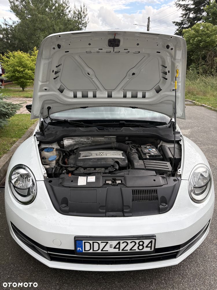 Volkswagen Beetle - 17