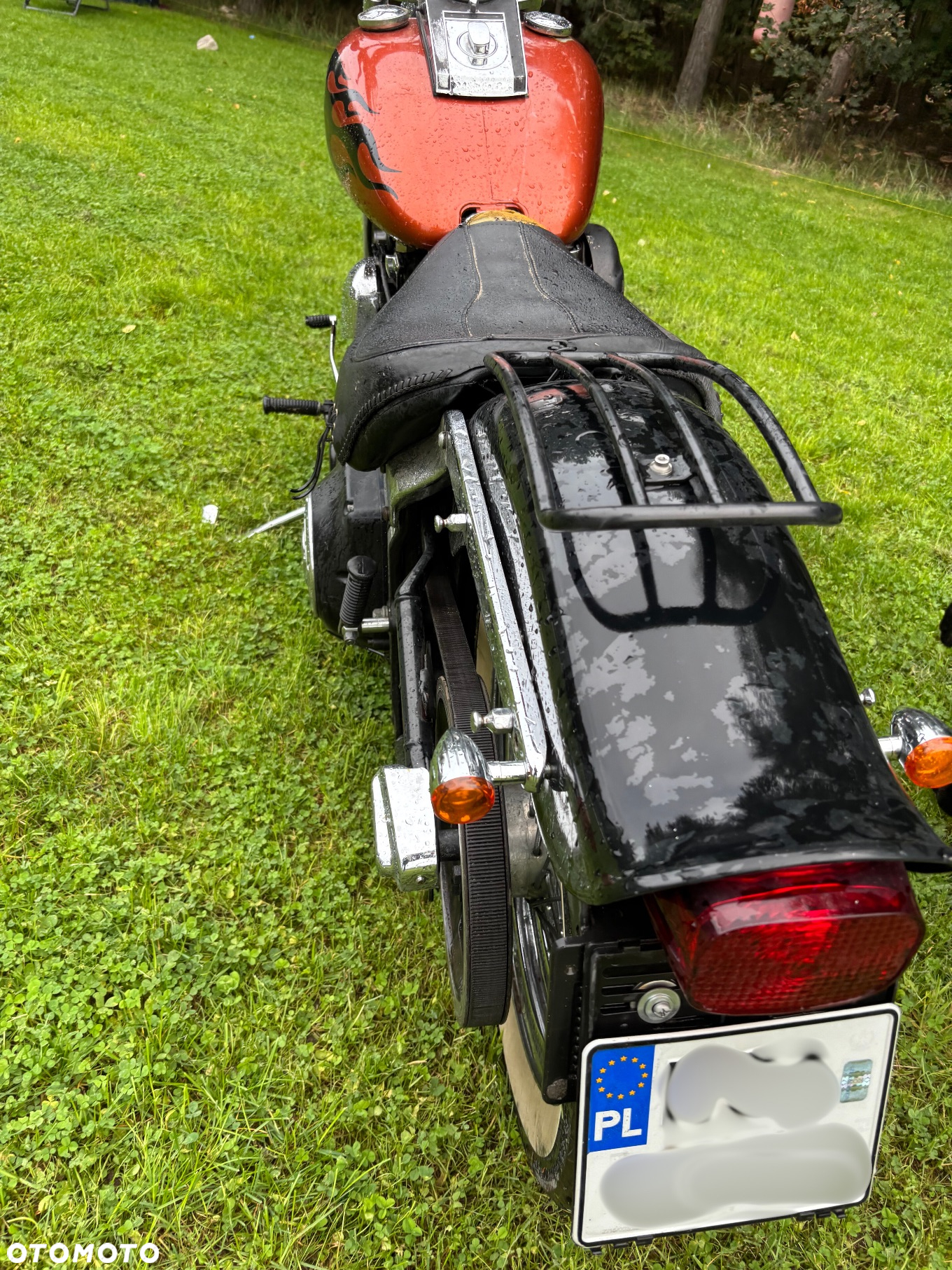 Harley-Davidson Softail Standard - 6