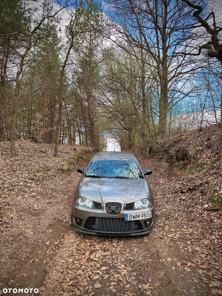 Seat Ibiza 1.9 TDI Cupra - 12