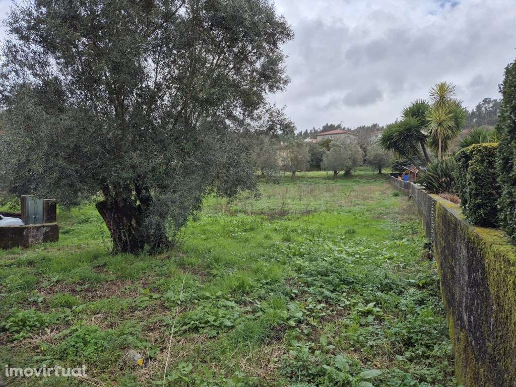 Tereno em Viana do Castelo - Grande imagem: 4/7