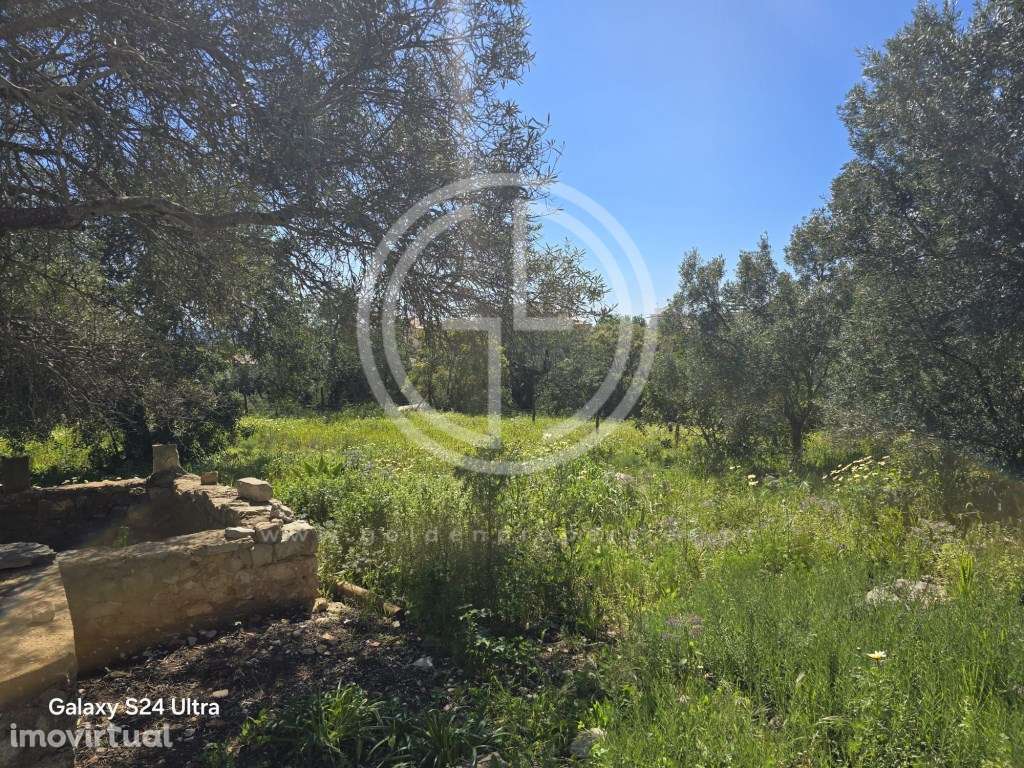 Terreno Exclusivo em Santa Bárbara de Nexe, Faro - Grande imagem: 5/9