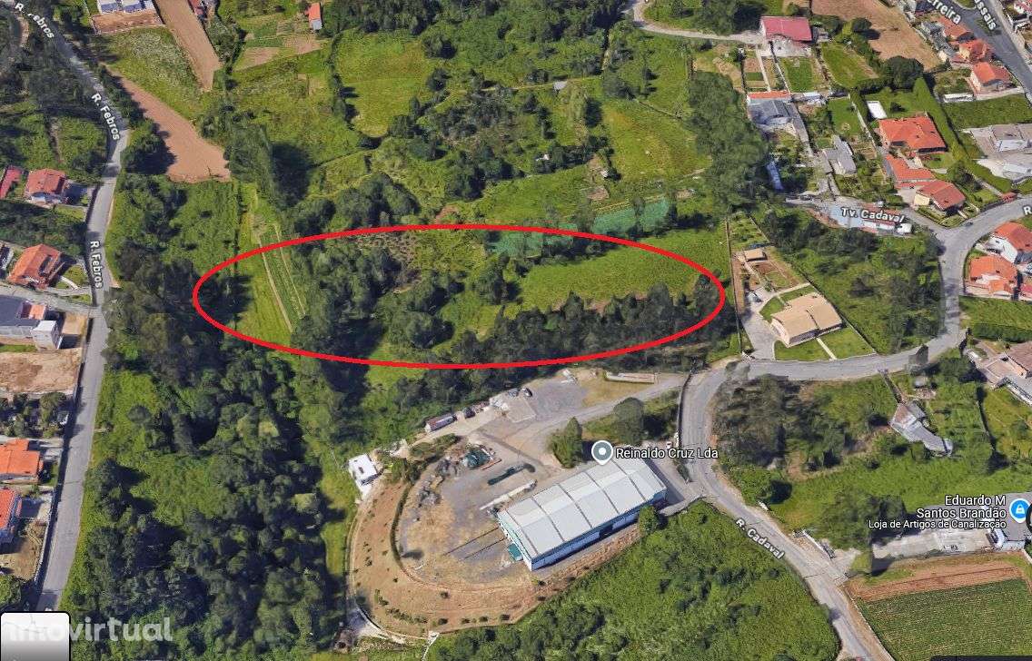 Terreno 16.280m2 em 3 artigos no centro de Olival. Dá 1 moradia. - Grande imagem: 2/11
