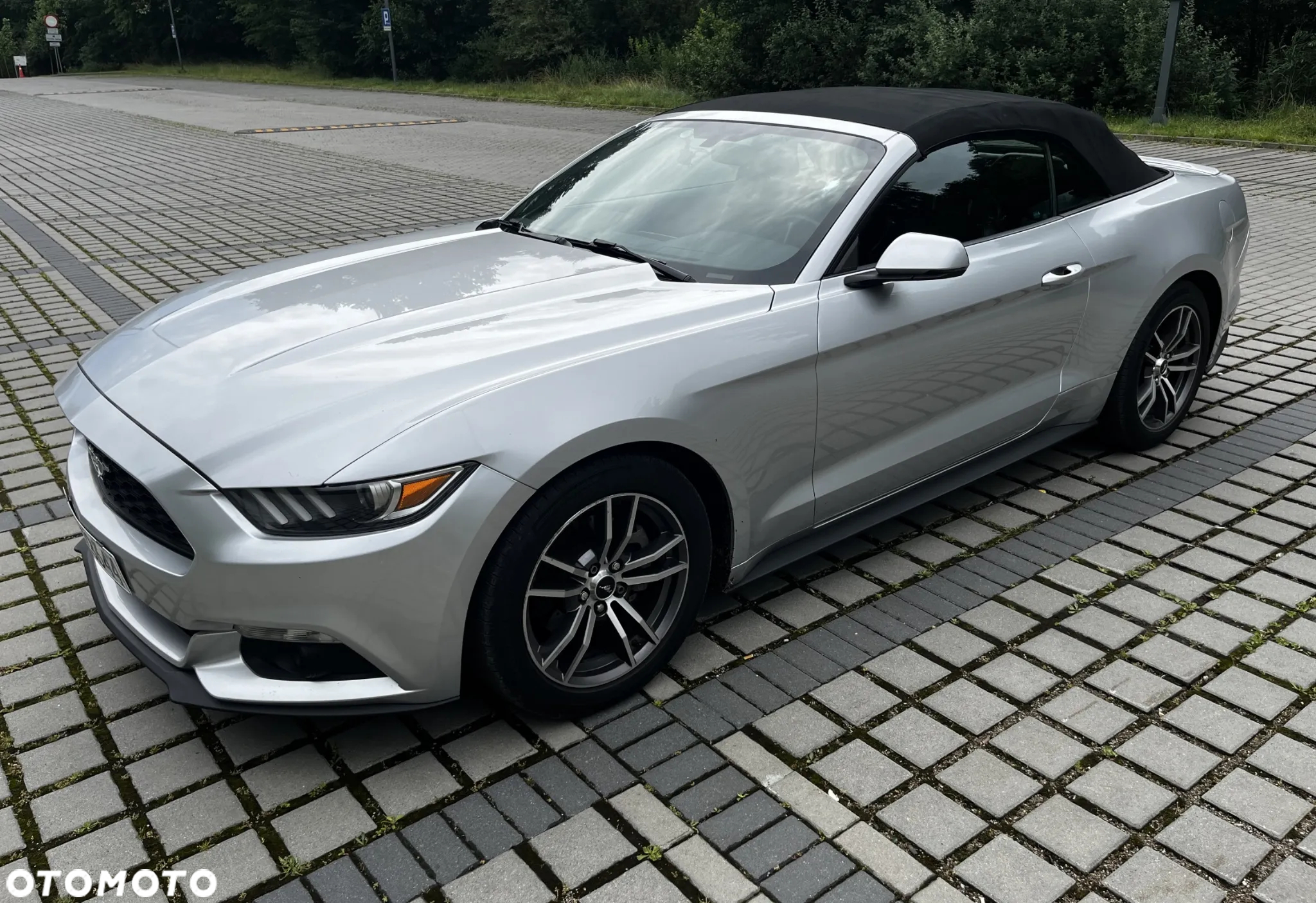 Ford Mustang 2.3 EcoBoost - 21