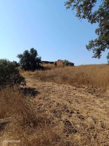 herdade no baixo Alentejo - Grande imagem: 4/11
