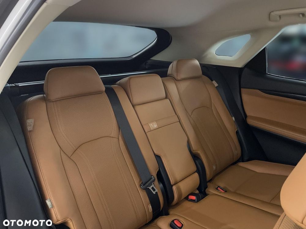 Lexus RX - 16