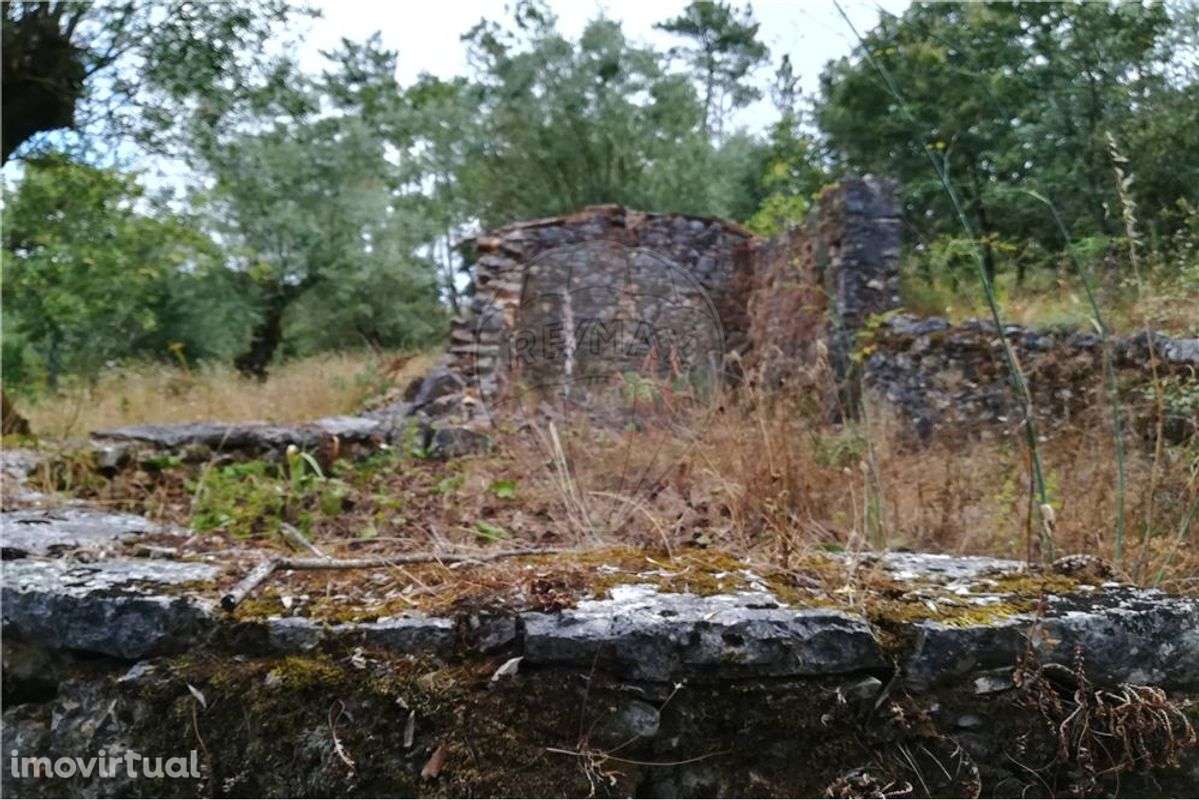 Moradia para recuperação - Grande imagem: 3/12