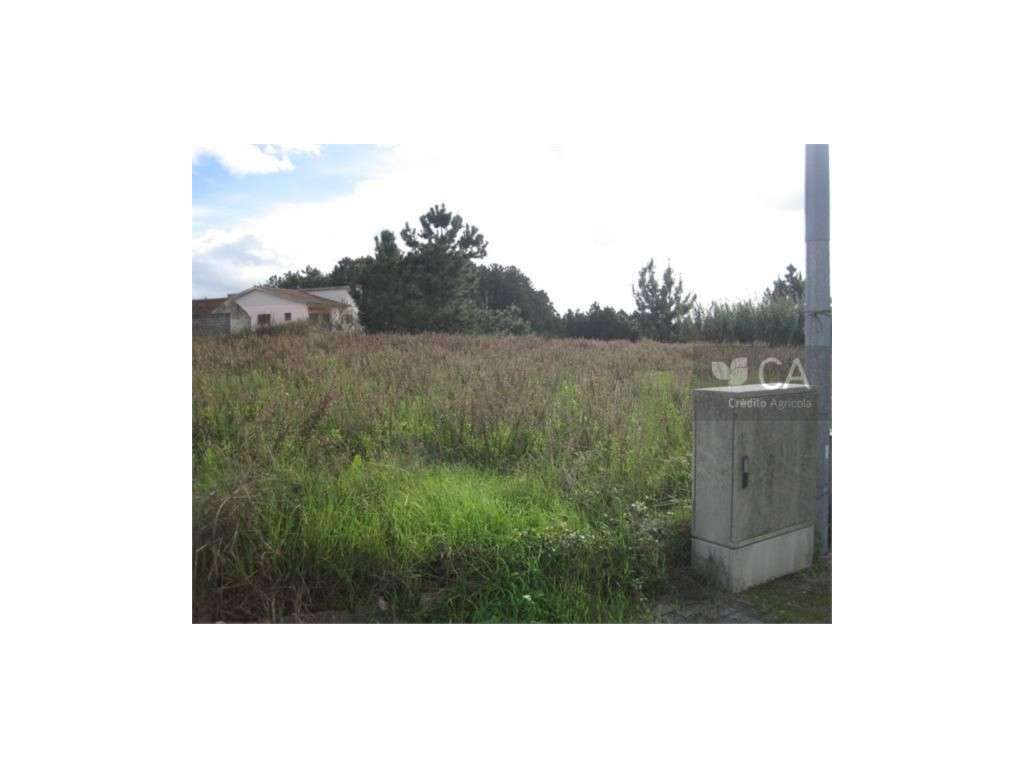 ID2845 - Grande imagem: 5/6