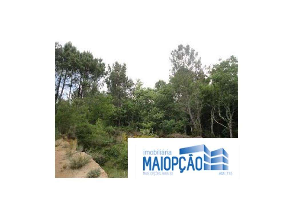 Terreno Rústico em Avelal - Grande imagem: 4/6