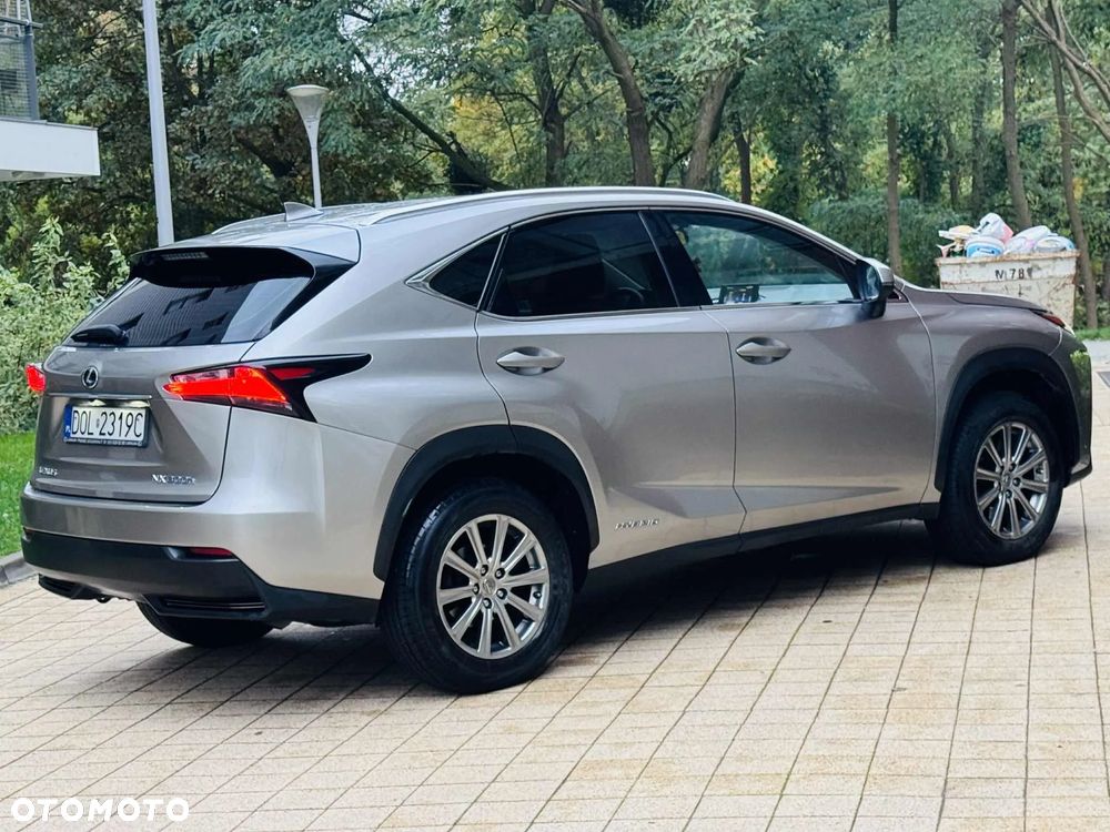 Lexus NX 300h Elite 2WD - 13