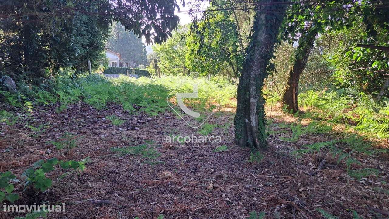 Terreno com 1.720 m2, com casa em Ruina. Jolda S. Paio, Arcos de Valde - Grande imagem: 3/30