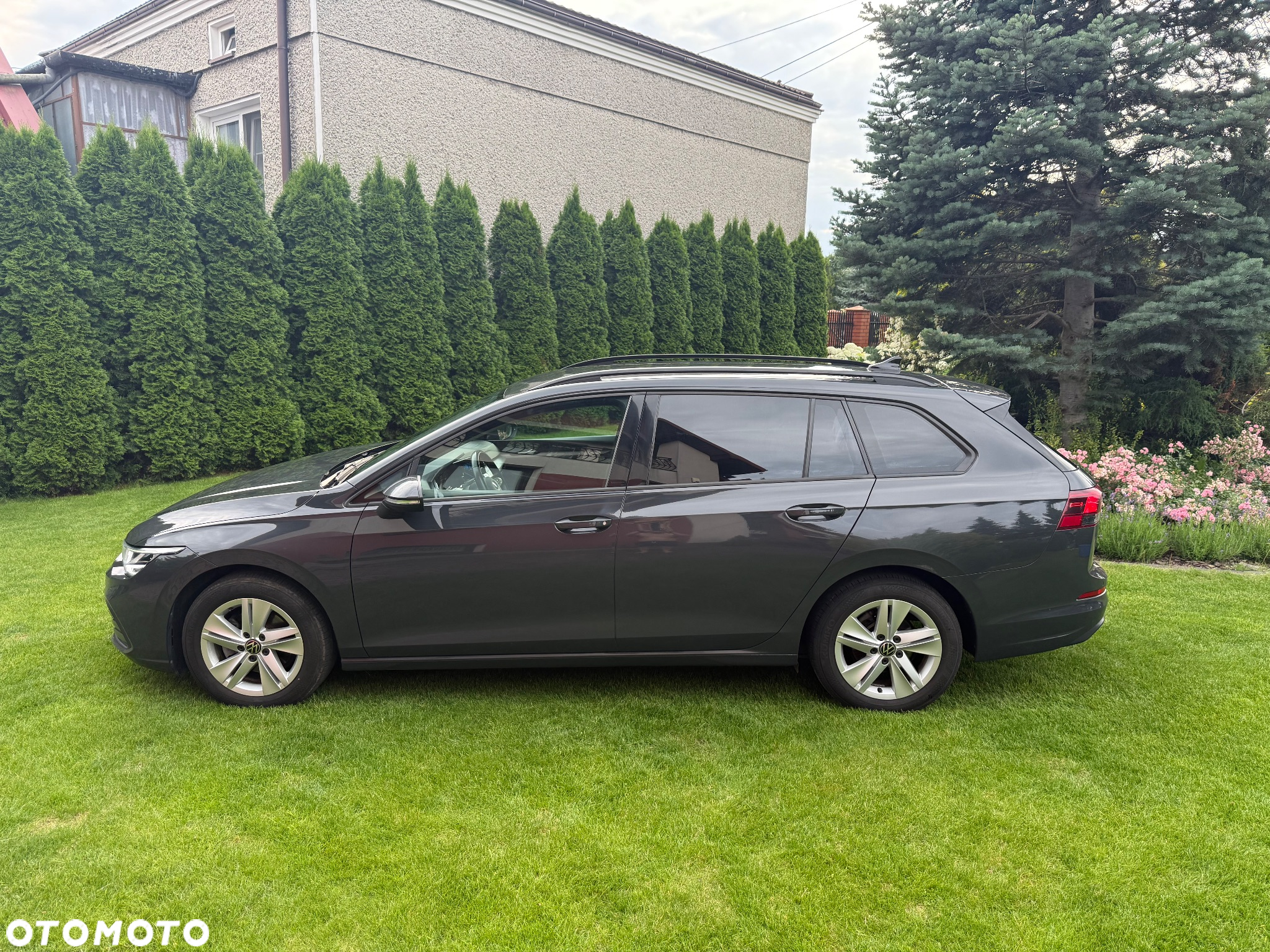 Volkswagen Golf VIII 1.0 TSI Life - 11