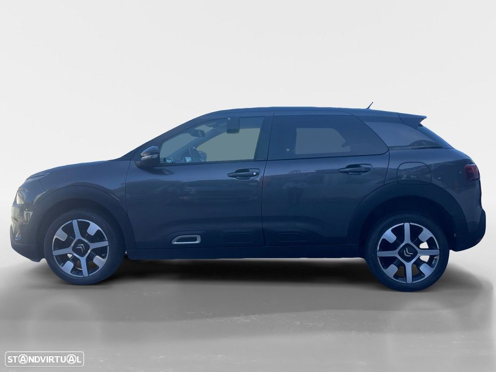 Citroën C4 Cactus 1.2 PureTech Shine - 2