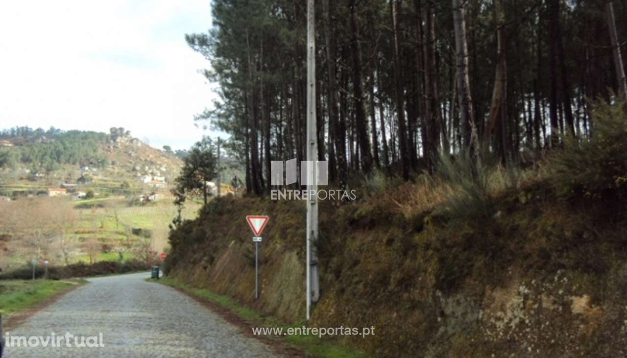 Venda Terreno, junto à estrada, Tabuado, Marco de Canaveses - Grande imagem: 2/9