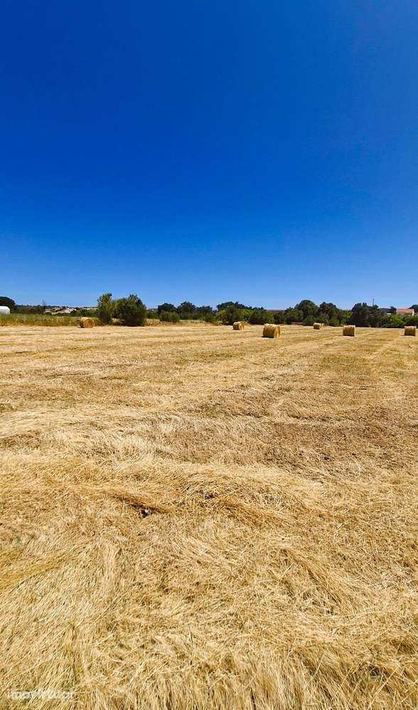 Oportunidade! Terreno Rústico de 6.440 m² em Algoz – Silves - Grande imagem: 4/34
