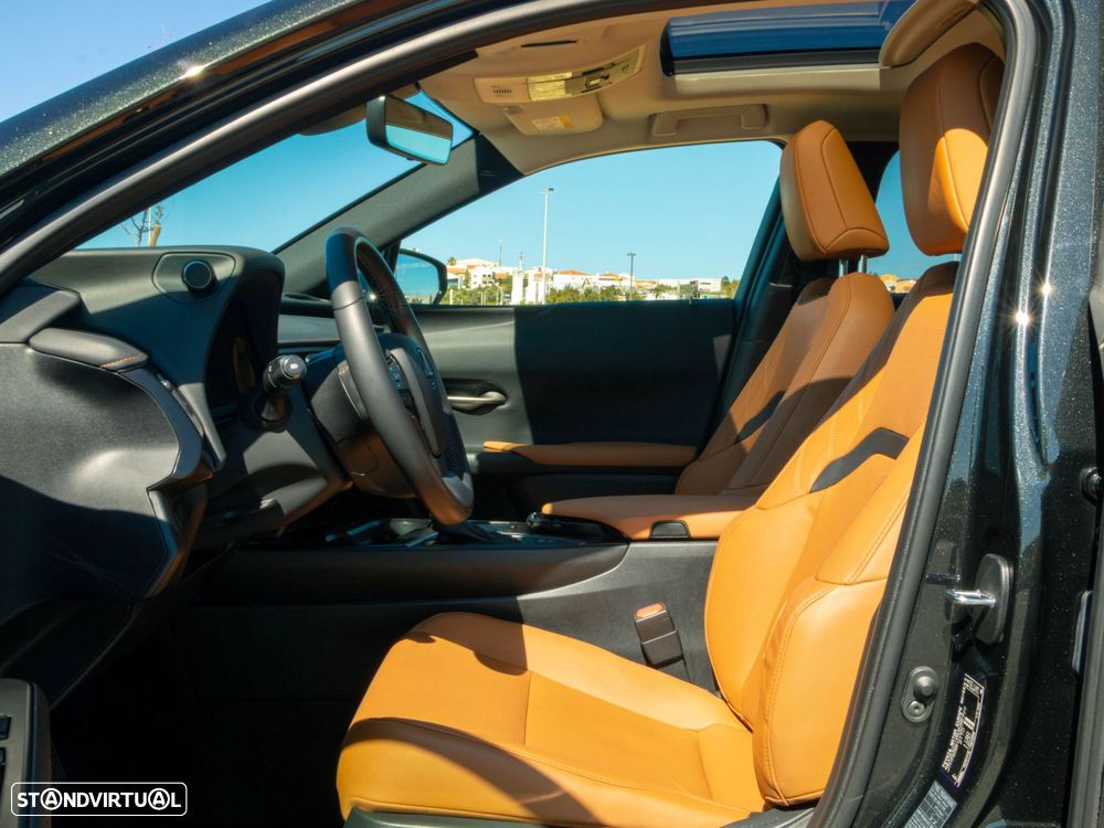 Lexus UX 250h Premium - 14