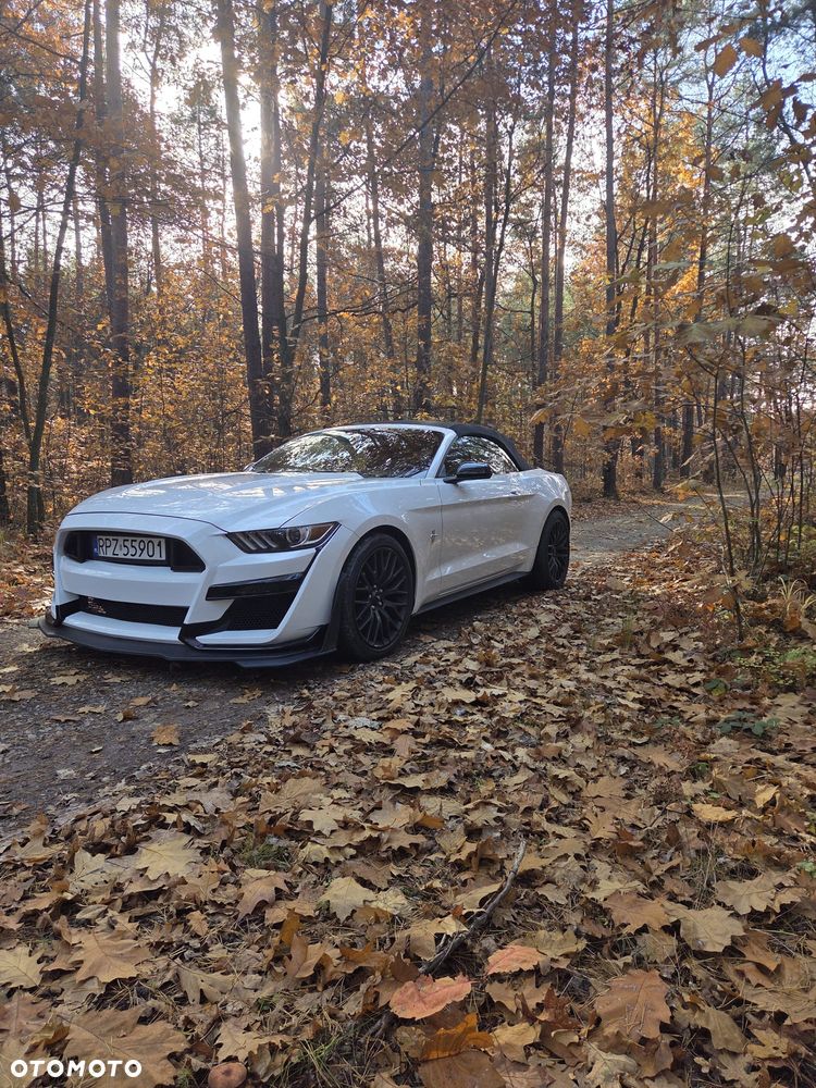 Ford Mustang 3.7 V6 - 5