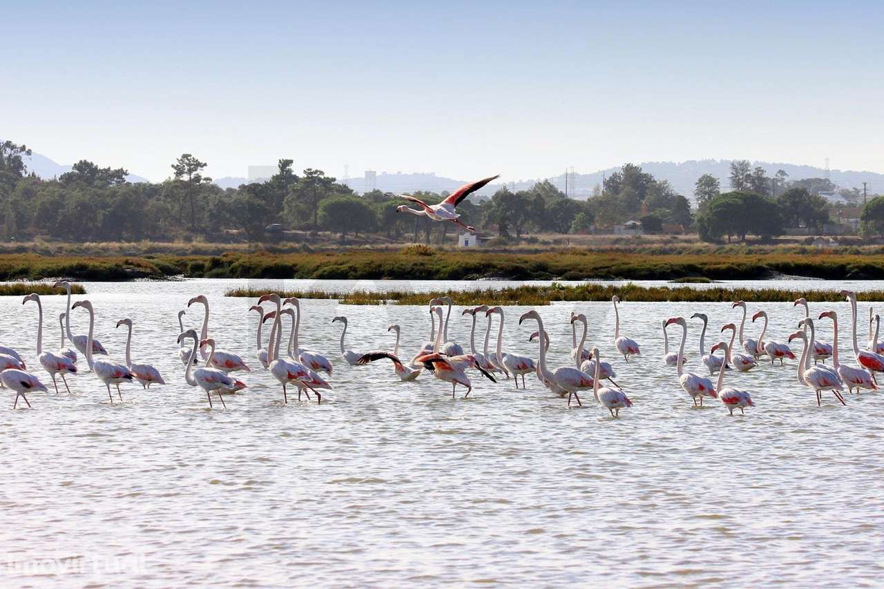 HERDADE DA MOURISCA - Grande imagem: 5/23