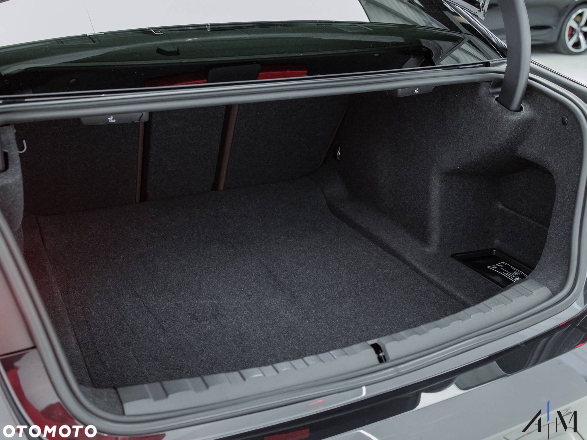 BMW Seria 3 - 24
