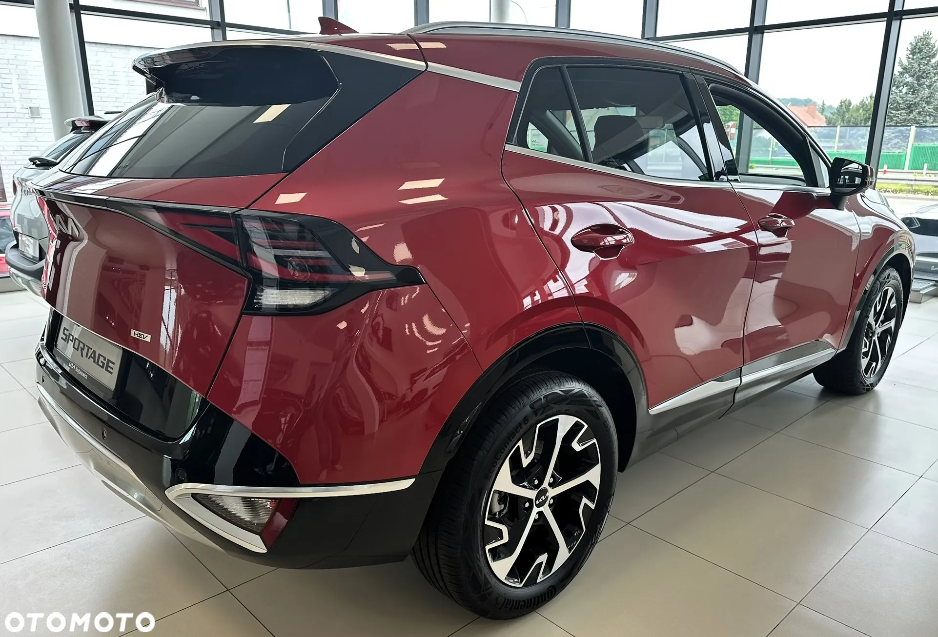 Kia Sportage 1.6 T-GDI HEV Business Line 4WD - 4