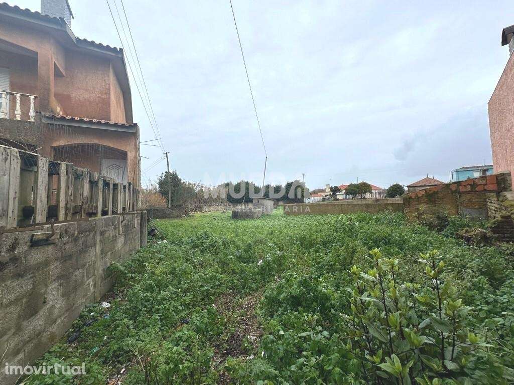 Terreno Rústico, com viabilidade de construção, Murtosa - Grande imagem: 2/8