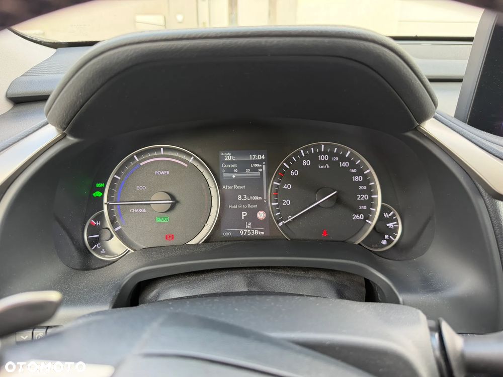 Lexus RX 450h F-Impression - 12