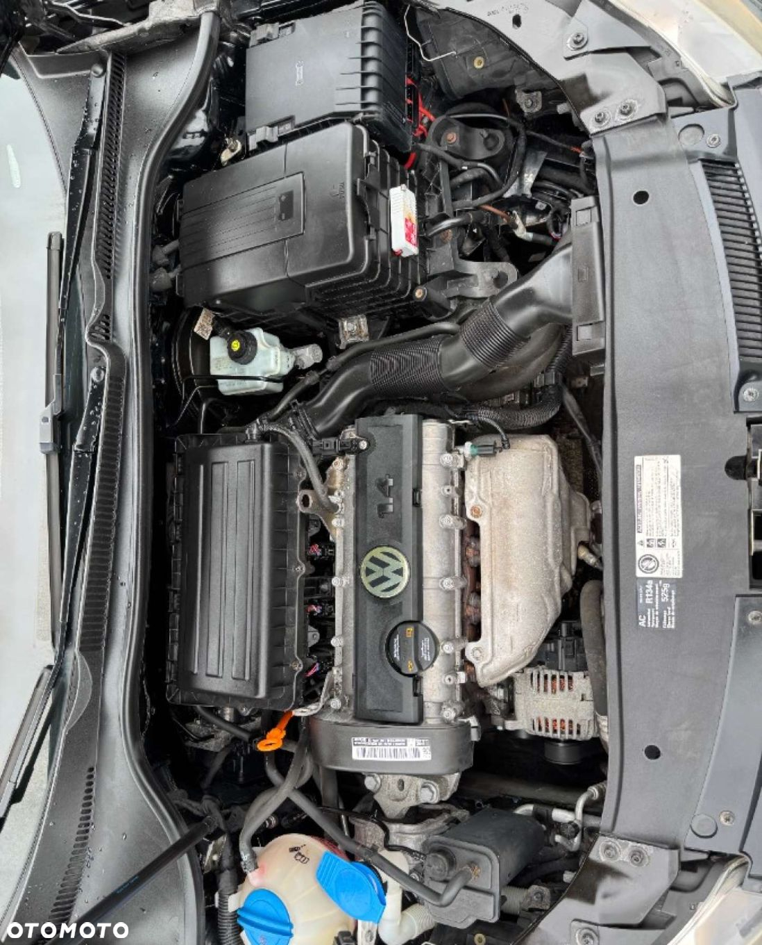 Volkswagen Golf - 26