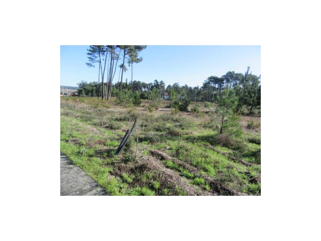 Lote urbano em Vieira de Leiria - Grande imagem: 2/3