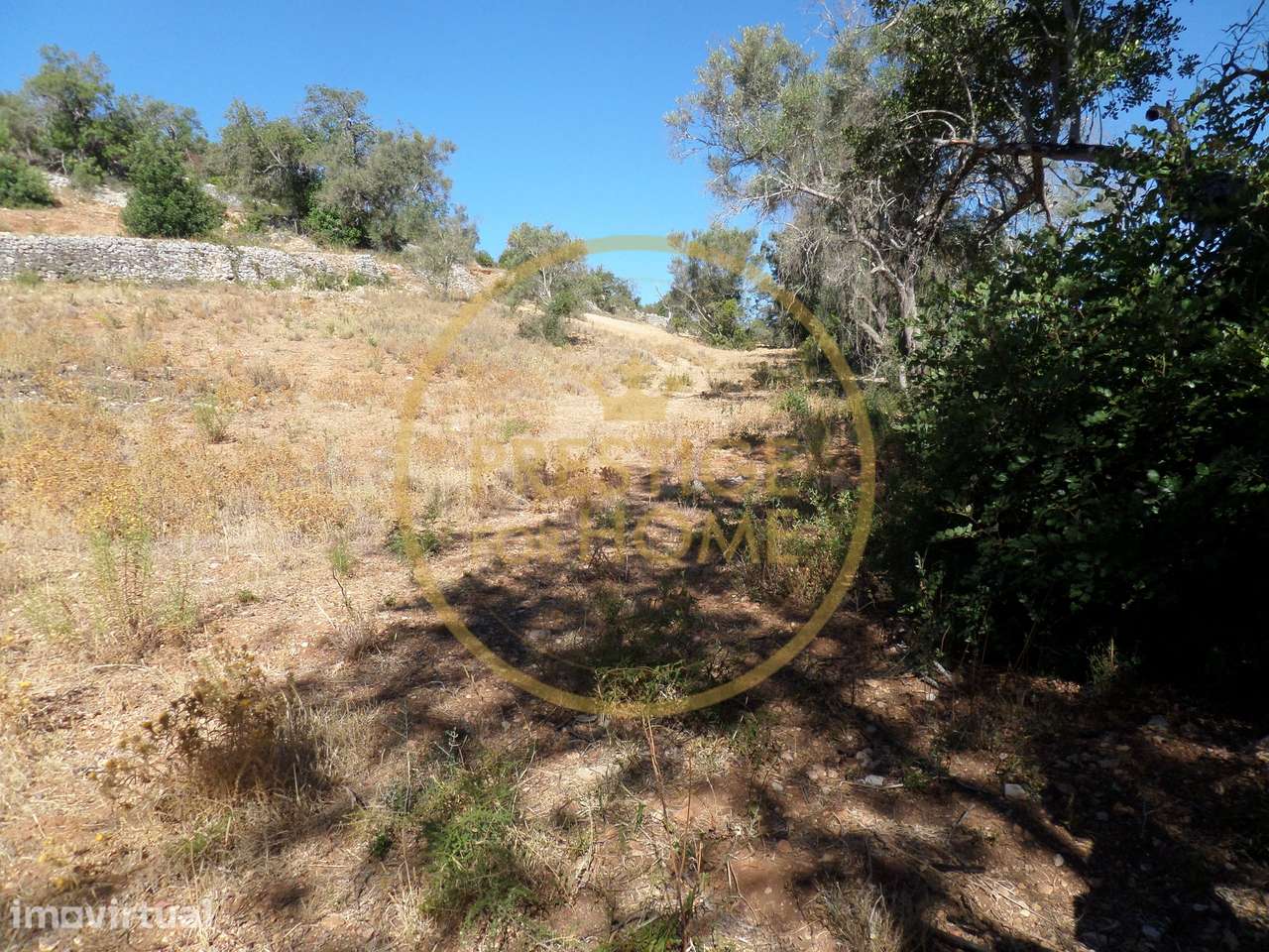 Terreno, 1 410 m², Boliqueime - Grande imagem: 5/13